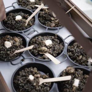 Cazuelita arroz negro